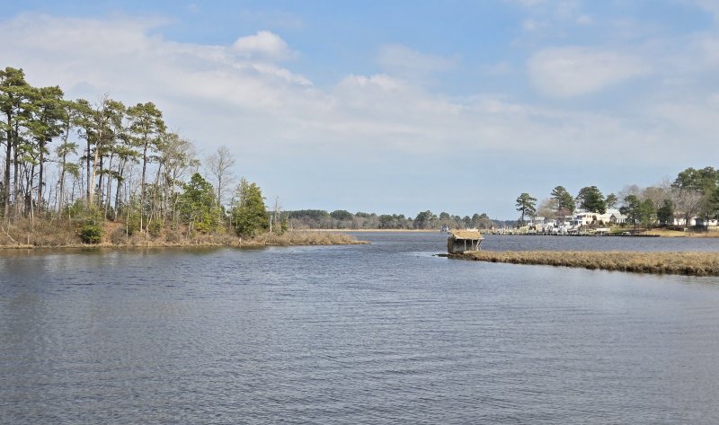 A new report conducted by the state shows that nitrate levels in the Indian River Bay watershed are still too high, but there have been modest improvements over the past two decades. This a view of the watershed from Iron Branch Road in Millsboro. CHRIS FLOOD PHOTOS